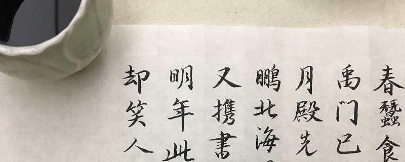 艺考资讯